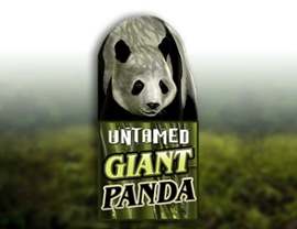 Games Global