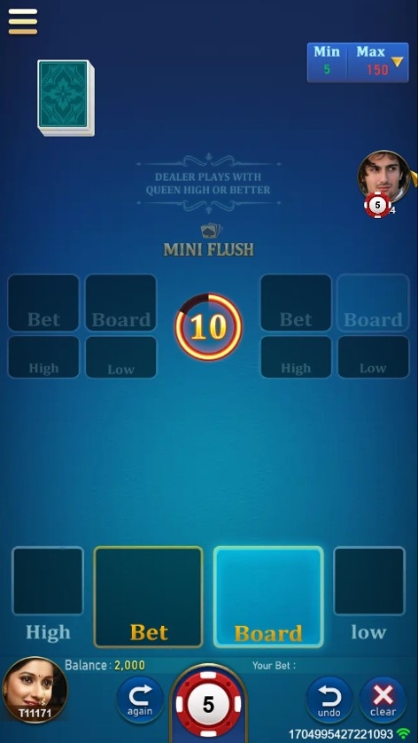 Mini Flush.jpg