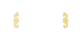 Casino Cruise